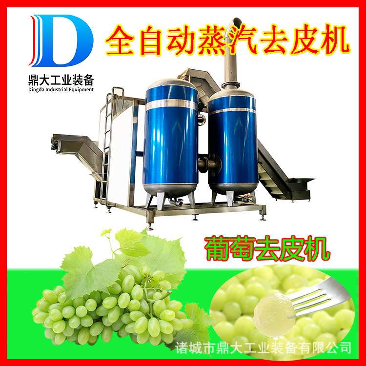 全自动葡萄蒸汽去皮机 葡萄罐头加工流水线 葡萄剥皮机 鼎大工业