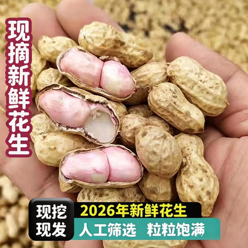 当季新鲜花生2026新货现挖湿花生带壳鲜花生农家粉白皮鲜花生水煮
