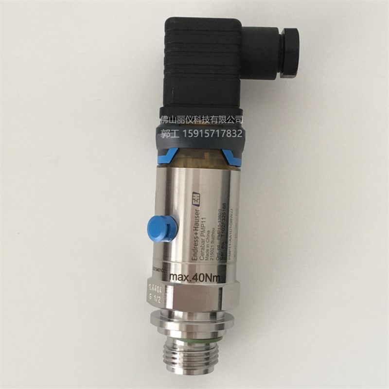 E+H 压力变送器PMP11-AA1U1QBWJJz, PMP51,PMP21,PMC11 PMD55B