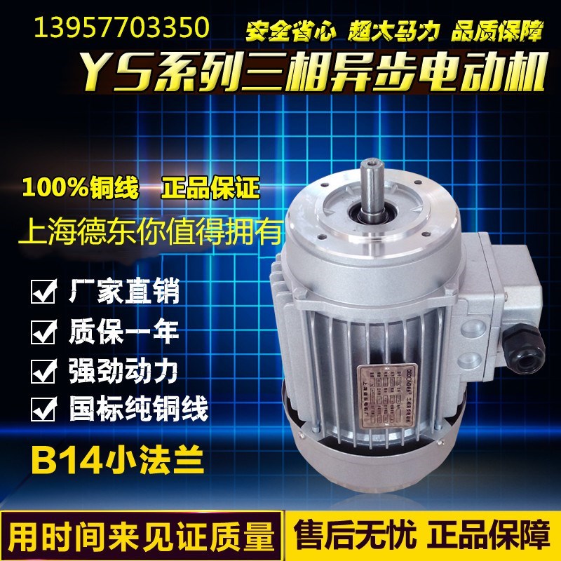 上海德东YS系列三相异步电动机YS7116/YS7126/YS7136/380V/960转