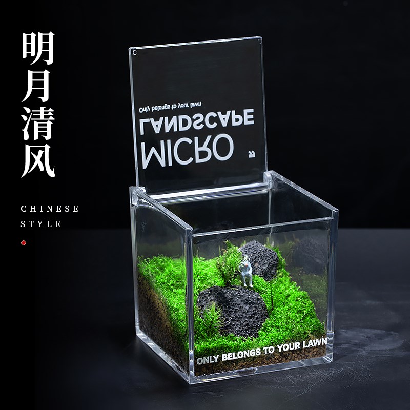 苔藓微景观生态缸雨林造景客厅办公室桌面绿植盆栽生态瓶创意礼物图片