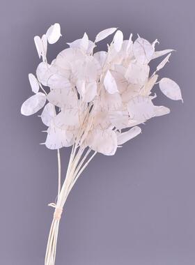 高端SU8166T仿娘花防真花假花真真新把花束仿干花叶子银扇叶花束