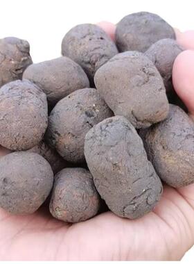 园林艺OWG园陶粒程建筑厕所回填水培花工卉无土轻栽培透气垫底质