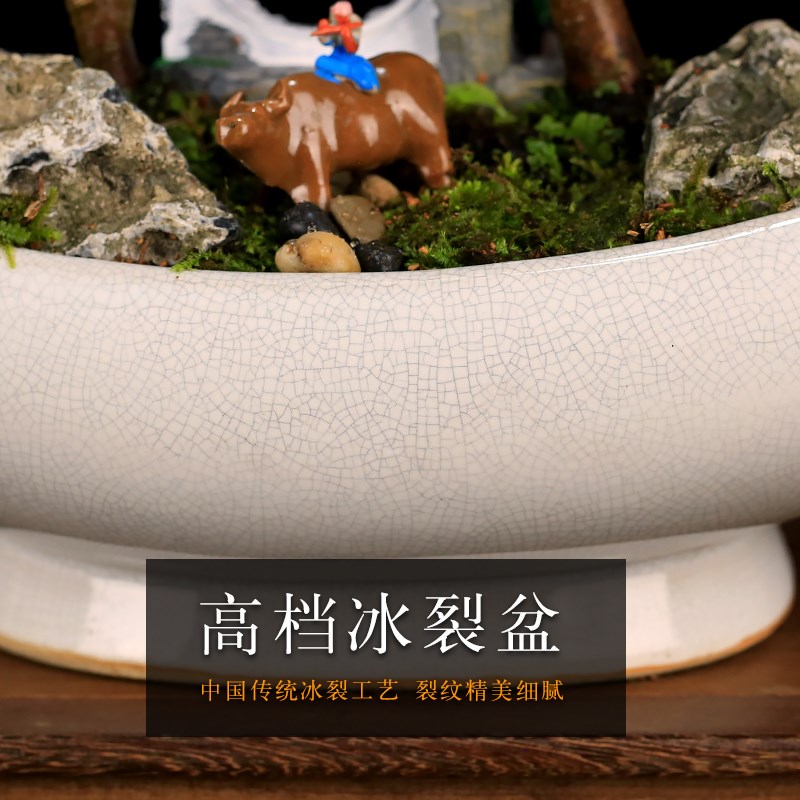 小叶雀梅造型老桩盆景植物室内客厅办公L室桌面绿植盆栽四季常青