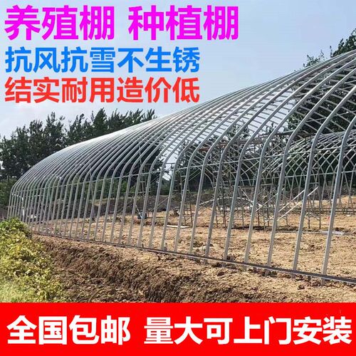大棚骨架钢管f蔬菜花卉温室家禽养殖大棚全套保温连体联动种植暖