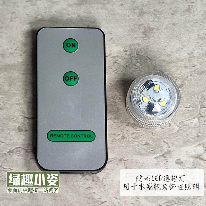 苔藓瓶多肉鱼缸绿植植物盆栽补光防水潜水遥控LED 高亮白色七彩灯,鲜花速递/花卉仿真/绿植园艺,洒水/浇水壶,淘宝优惠券,粉丝福利购,淘宝优惠卷