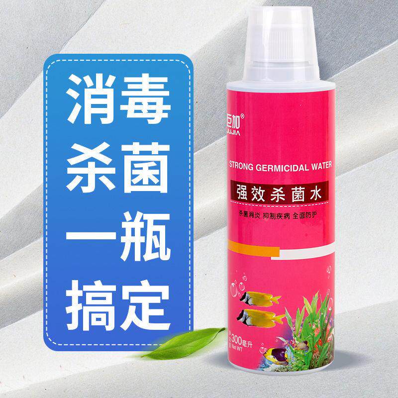 观赏鱼病腐烂白点白毛寄生虫鱼药热带鱼用冷水鱼药鱼缸杀菌水消毒