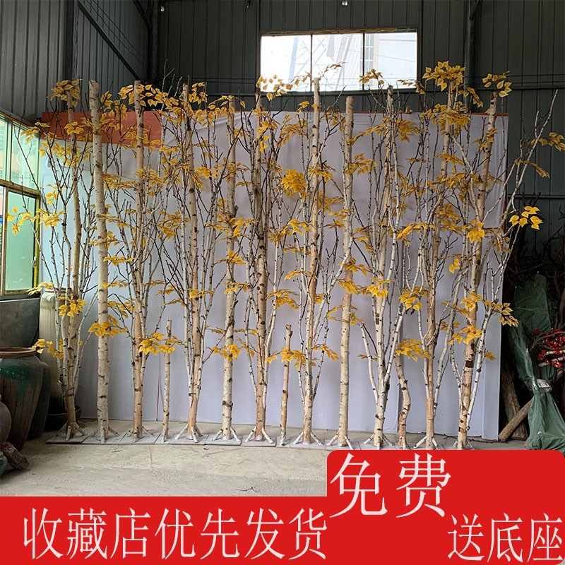 干树枝白桦树隔断假m树枝干装饰白桦木屏风造型树枯树室内摆放干