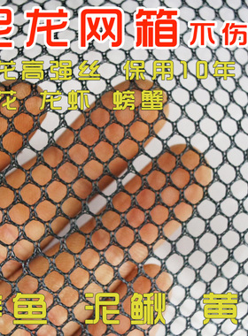 定做尼龙无结不伤鱼网箱s小龙虾泥鳅黄鳝青蛙养殖网箱防逃膜网箱