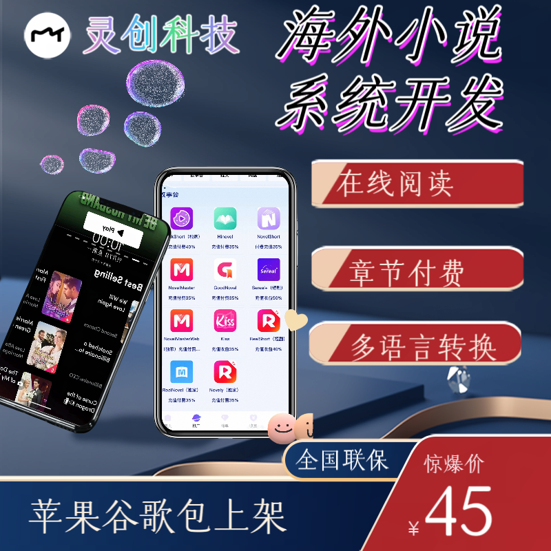 海外小说漫画系统开发网页h5交付阅读会员付费充值app源码交付