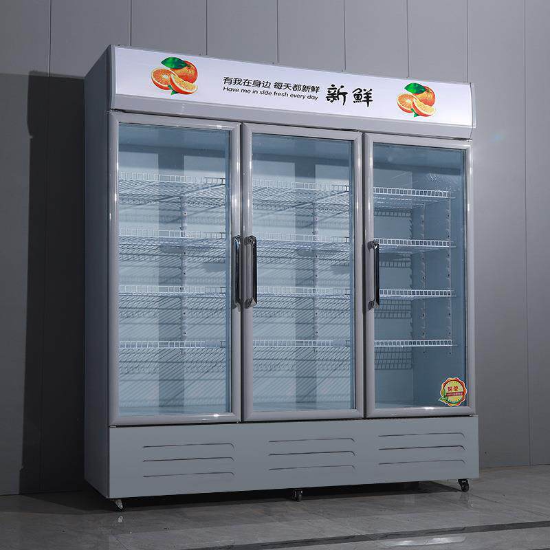 单开门式300升夏季直冷饮料啤冷展示柜冷酒冻柜立冰柜商酒水饮料