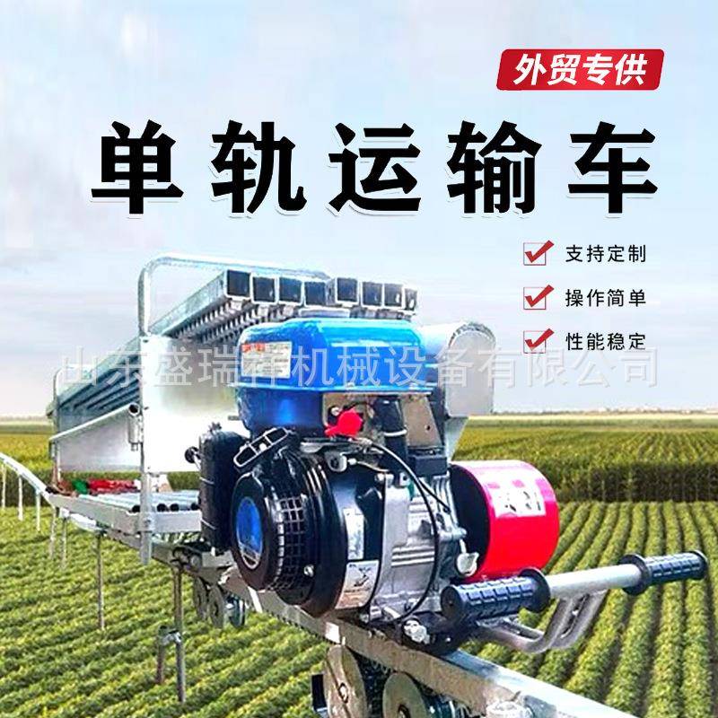 山地果单轨运输农用大马力DMC汽油机坡养殖场山园地爬车单轨轨道