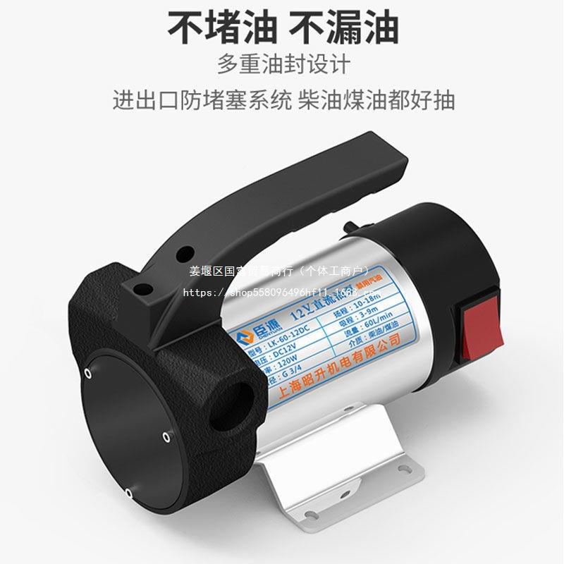 臣源电动抽伏油0泵柴油小12ZLUV24V22V自动加油机型自吸泵直流抽
