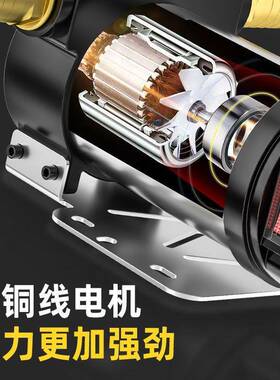 正反12油V24V2油20V伏电动柴油抽油器抽泵自柴吸泵抽油机油泵BPP