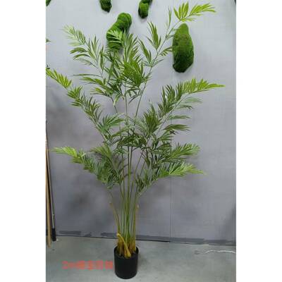 仿真植龙血铁落地植绿物无荷树兰铁线铁盆栽室内客厅铁盆景摆件
