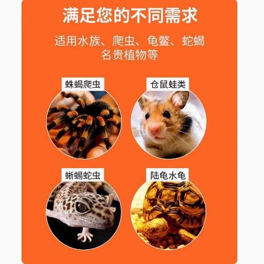 运整宠物运输发热包48保/72/110小时箱观赏鱼爬宠无品牌/快递输长