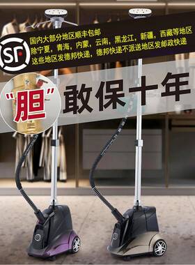 捷立立汽大功率家新款手持式45064烫衣服装店专业蒸商用熨斗铜芯