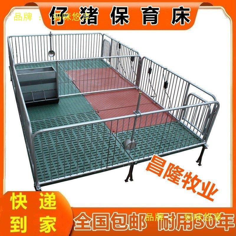仔猪保保育床小猪保育床单双产体全复合育床(母猪床HFH定位栏