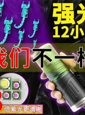 UV35紫子光三颗同亮时双光源白紫手9提灯紫外线L80793ED强光手提
