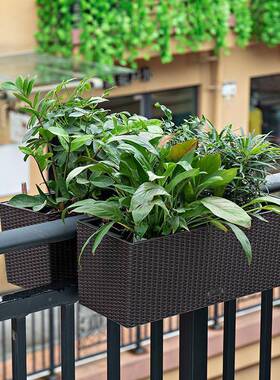 阳台花园布置杆挂栏式种花43560盆悬挂花置架物花架长方形花箱花