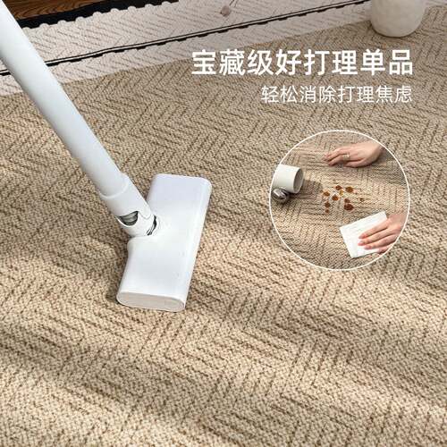 地毯客厅法中EVB古风2式0垫25新款免洗可室擦沙发卧地感家用复古