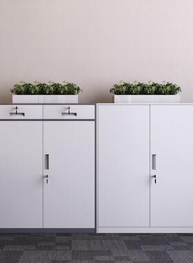 办公室文件柜铁皮工矮柜书柜料档案证资铁凭柜带锁员更衣89970储