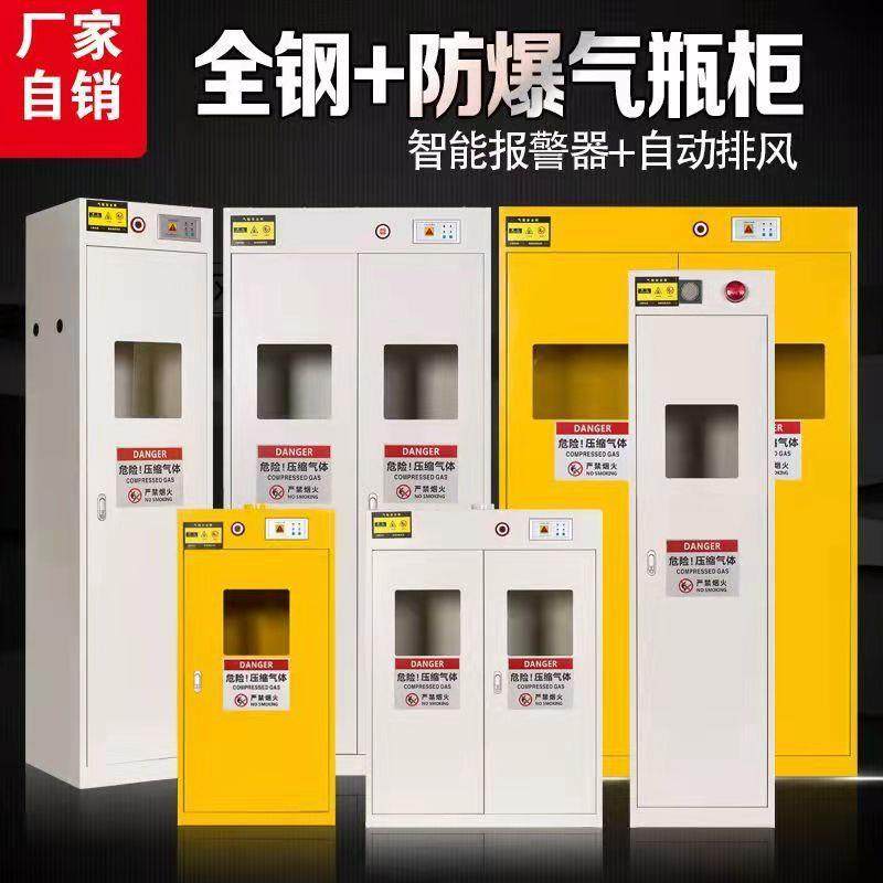 全钢双瓶气瓶柜防爆柜煤气乙炔氮气柜带报警排风智能气瓶柜防爆箱,商业/办公家具,办公储物柜,淘宝优惠券,粉丝福利购,淘宝优惠卷