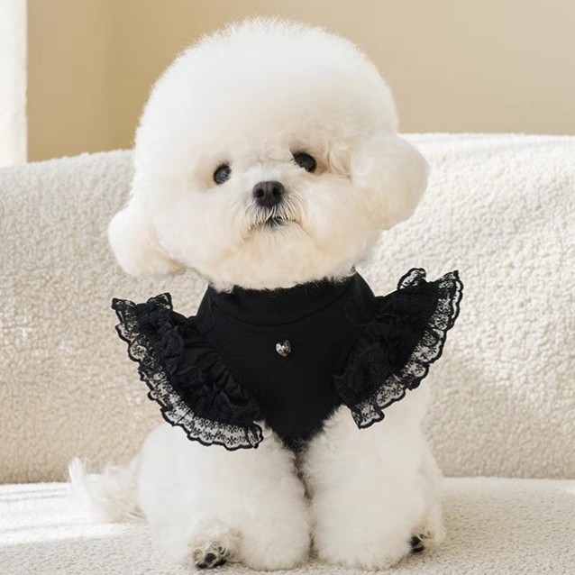 2025春夏新款宠物衣服四季比熊博美泰迪猫咪狗T恤上衣蕾丝打底衫
