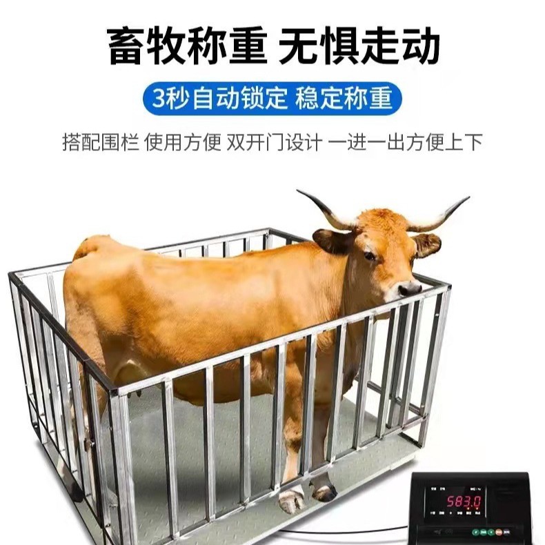 镀锌围栏动物地磅 1.2*1.5 米畜牧地磅 养殖称重稳定磅秤电子秤头