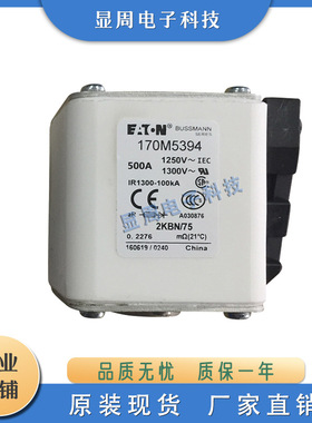 全新保险丝熔断器170M5395 170M5396 170M5397 170M5398 170M5401