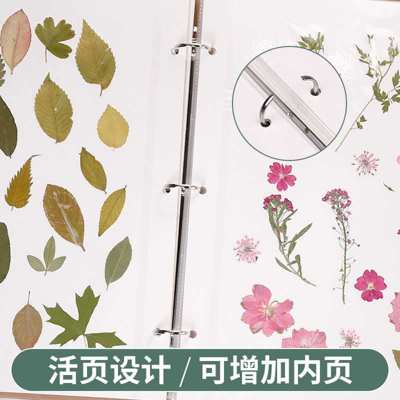植物标本干花压花树叶收集收纳册学生DIY覆膜粘贴式相册创意手工