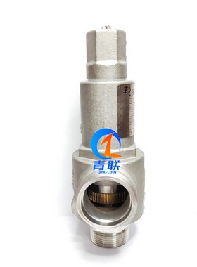 DA22F-40P DA22Y DAH22低温全启式安全阀泄压溢流阀DN10 15 20 25