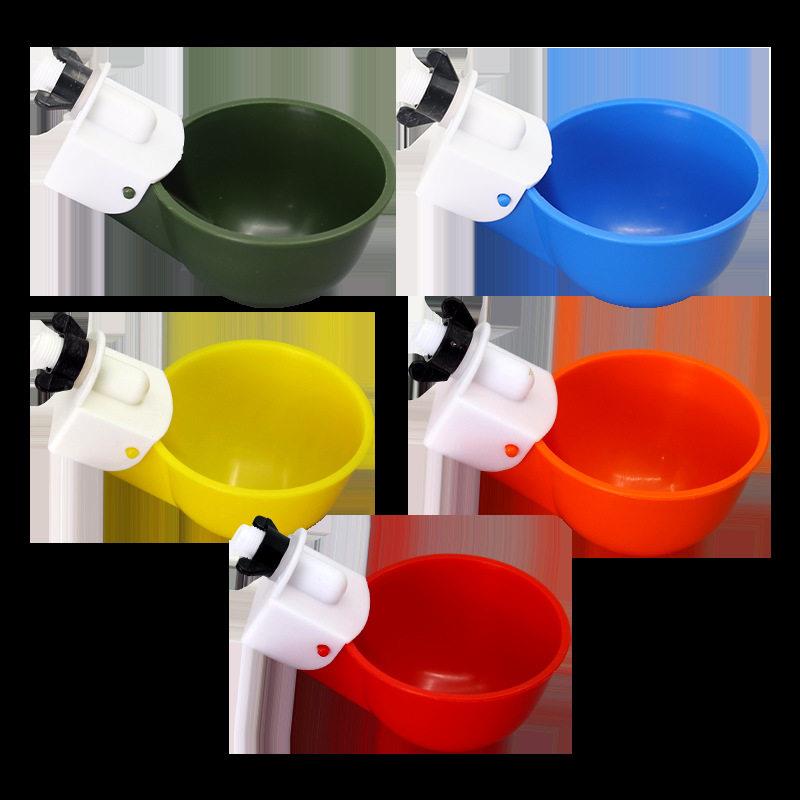出口一体式中号全自动鸡饮水碗鸡水碗鸽子喂水器五色鸡饮水碗