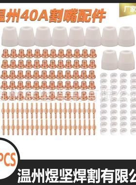 套装65PCS温州40A加长PT-31电极电嘴/瓷嘴/分流器组合装