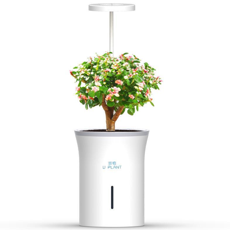 智能远程家用自动浇水花盆仿生灯悠植花盆绿植种菜花盆厂家