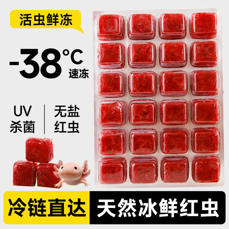 雨恒红虫冷冻赤虫血虫汉堡丰年虾孔雀六角恐龙七彩金鱼幼鱼饲料