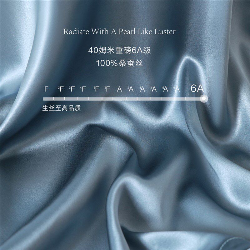 6A级真丝丨养肤护发40姆米加厚100%桑蚕丝家用枕头套单只一对装