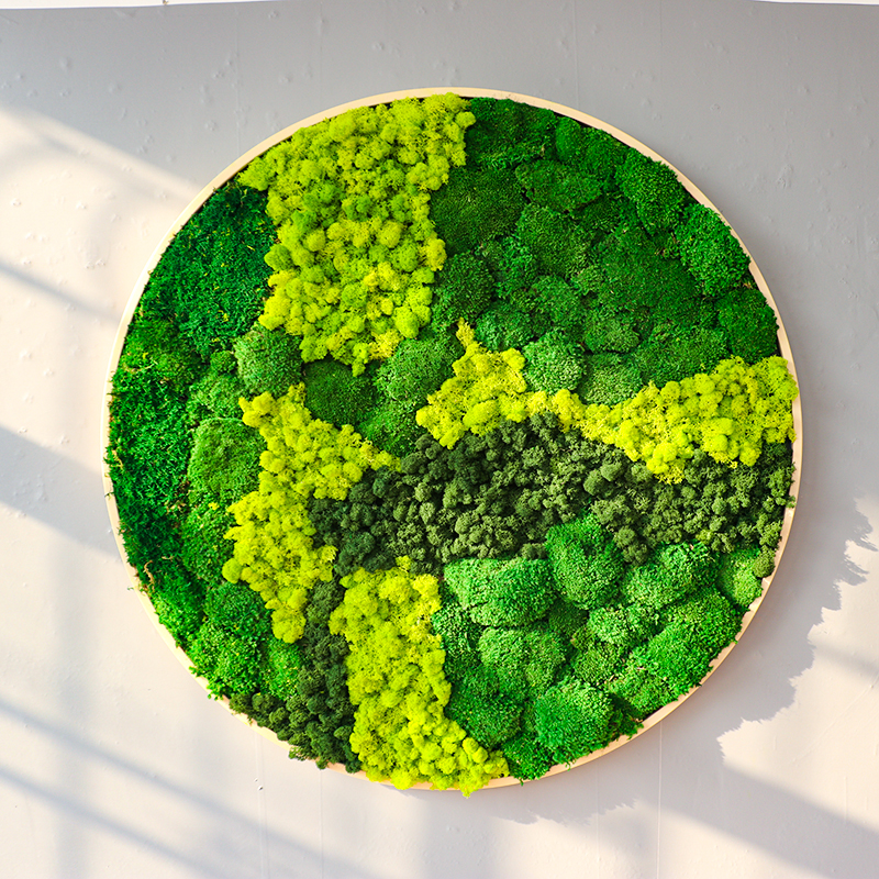 永生苔藓干花绿植壁挂挂件壁饰餐厅客厅景观Q植物墙墙面装饰原木