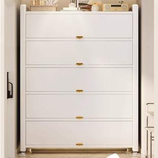 家用钢制鞋架门口一体靠墙防尘收纳柜玄关入户门后大容量鞋柜新款