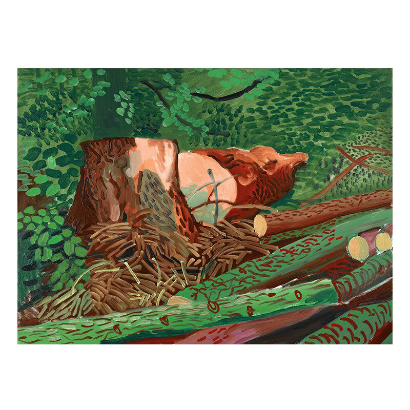 大卫霍克尼David Hockney 油画客厅卧室挂画酒店房间墙画背胶布画,家居饰品,现代装饰画,淘宝优惠券,粉丝福利购,淘宝优惠卷