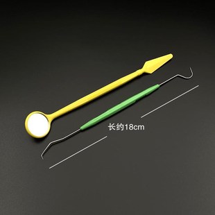 双头剔牙针不锈钢弯钩抠牙针塑料手柄家用洁牙齿工具口腔科探针盒
