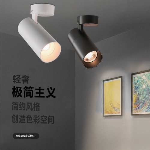 明装射灯隔壁服装店铺都在用