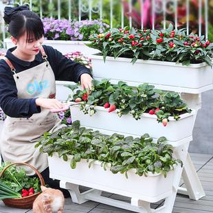 特大号花盆家用塑料种菜专用箱花箱长方形多层花架阳台菜架子种植