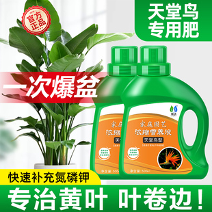 速发鸟专用肥料营液家养用盆栽观音竹黄叶绿植花卉水培通用肥