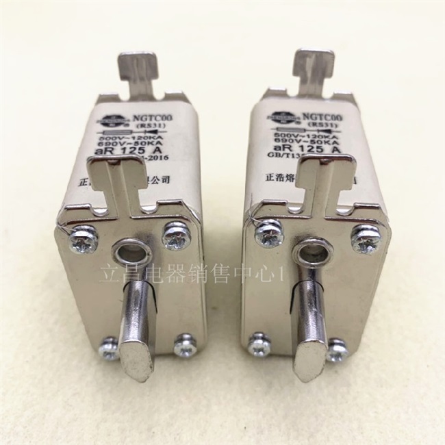快速熔断器rs31 ngtc00-10a 16a 25a 32a 40a 50a陶瓷保险丝690v
