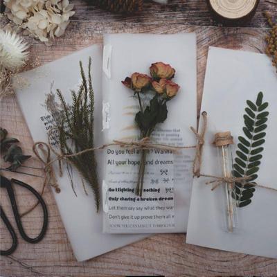 Vintage Fall Plants Flowers Decorative Sticke