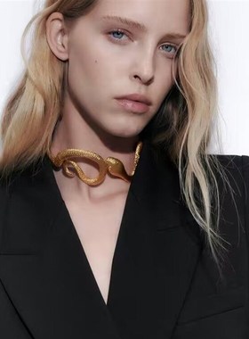 夸张金属蛇形个性项链嘻哈颈链Metal snake personality necklace