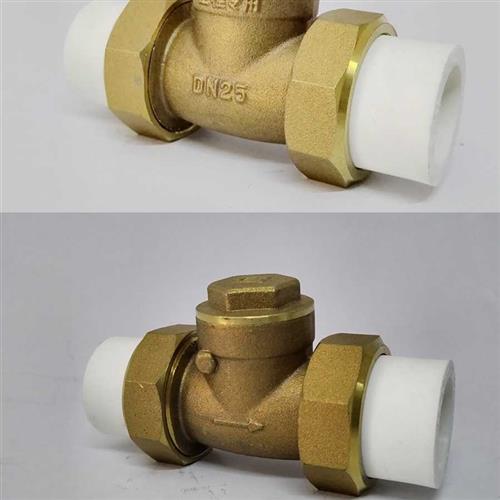 PPR双活接止回阀1寸卧式止逆阀25热熔逆止阀黄铜立式改装水管配件