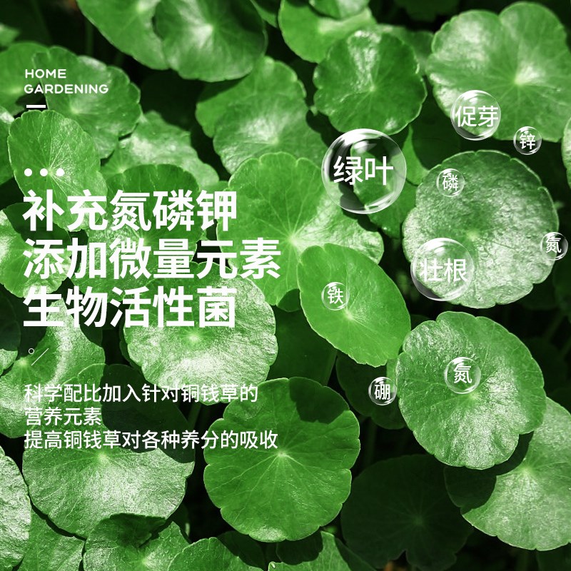 铜钱草专用营养液室内盆栽土培水培植物钱币草金钱莲养花通用肥料