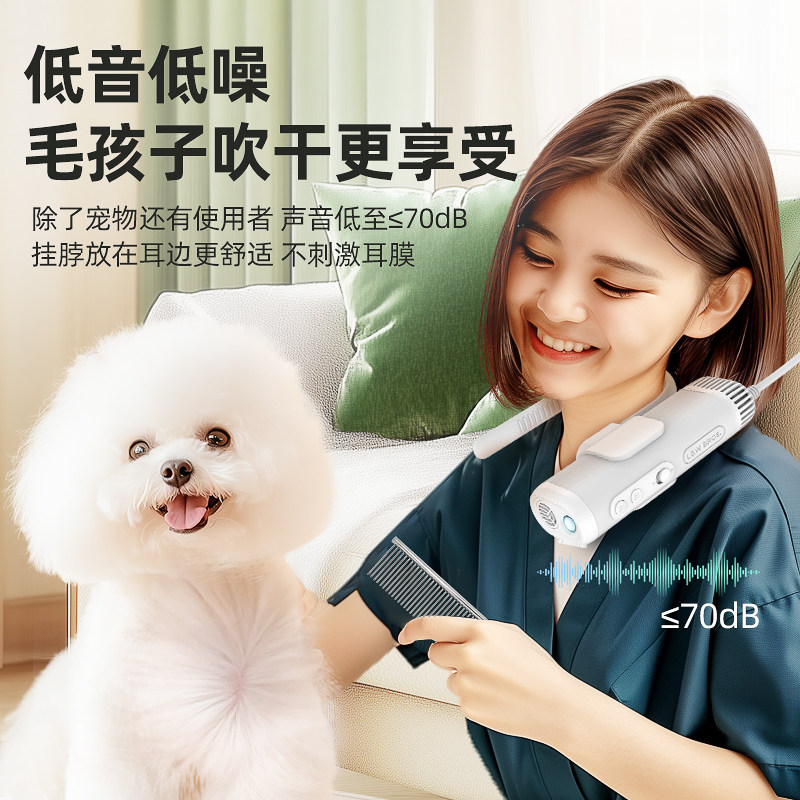 宠物吹风机狗狗猫咪吹水机洗澡美容吹干拉毛可挂脖一体机